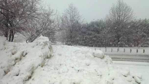 Kar Fırtınası Sırasındaki Bir Parkın Havadan Görüntüsü — Stok video