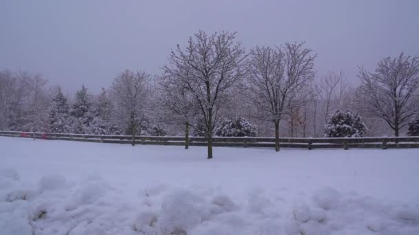 これは公園で雪に覆われた木々の美しい空中観察です — ストック動画
