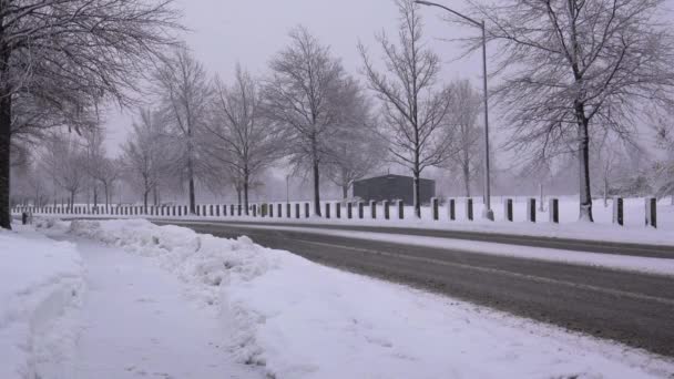 これは吹雪の間に雪に覆われた公園の美しい冬のポストカードビューです — ストック動画