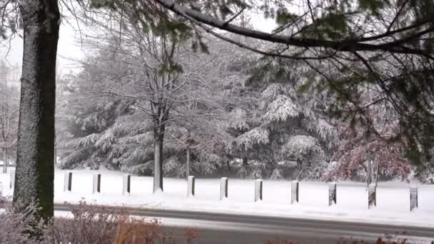 Ini Adalah Pemandangan Kartu Pos Musim Dingin Yang Indah Dari — Stok Video