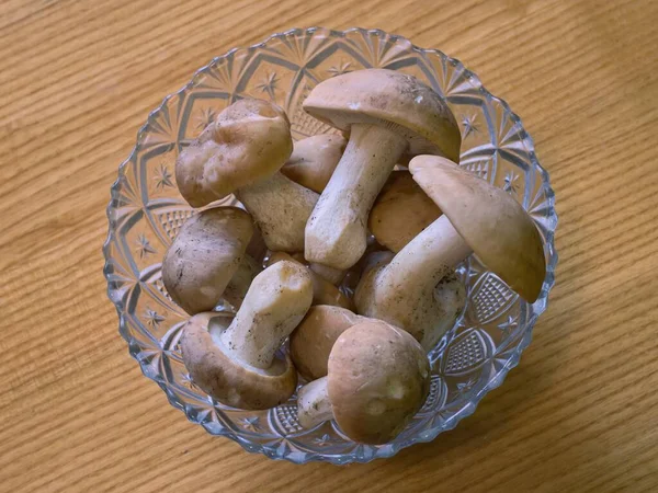 Funghi Primavera Una Boccia Decorativa Tavolo Legno Strutturato Funghi Commestibili — Foto Stock