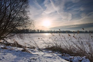 Donmuş gölet, arka planda sazlıklar ve yükselen güneşli ağaçlar. Donmuş bir göletin üzerinde yükselen güneş sazlıklar ve çalılarla kaplanmış bir nehir..