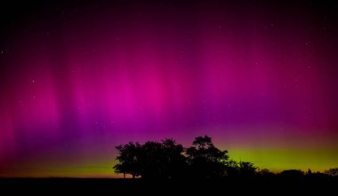 Kuzey ışıkları, kırmızı, mavi ve yeşil renkler ağaçlı bir manzaranın siyah silueti üzerinde. Karanlık manzaralı renkli Aurora Borealis izole edilmiş..