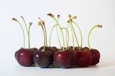 Su damlalı birkaç kiraz ve önden sapları var. Beyaz arka planda bir kümede olgun kirazlar. Beyaz arka planda sapları olan ıslak kırmızı kirazlar. Yıkanmış kirazlar atıştırmaya hazır..