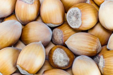 Hasattan sonra bütün fındık. Güzel renkli fındıklar yalıtılmış detaylar. Bir yığın fındığa yakın çekim. Corylus avellana türünün çizgili fındık meyveleri..