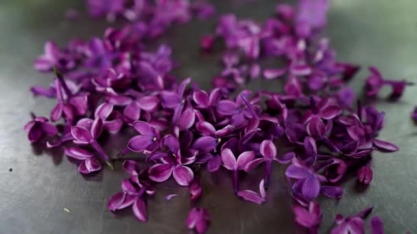 Throwing Extracted Lilac Leaves Tray — Vídeo de Stock