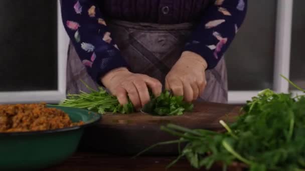 Caucasian Female Hands Cut Knife Fresh Parsley Wooden Cutting Board — Stockvideo
