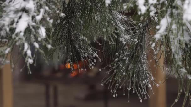Enchanting Image Created Fireplace Lights Filtering Fallen Tree Snowflakes — Video