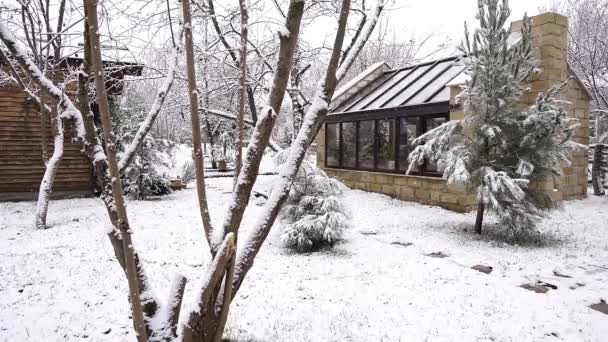 Dog Entering Camera Frame Front House Snowfall — Vídeo de stock