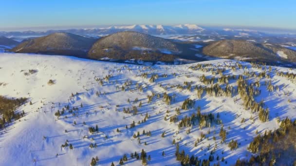 Vue Aérienne Des Montagnes Enneigées Des Arbres Provenant Des Drones — Video