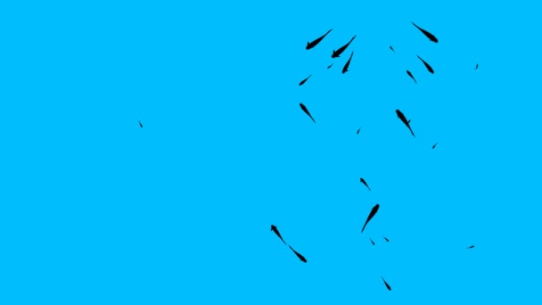 蓝色背景的鱼动画 4K视频循环动画 — 图库视频影像