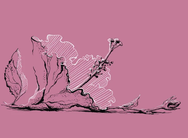 Όμορφο Λουλούδι Ιβίσκου Ροζ Φόντο Μελάνι Και Εκκόλαψη Γραφική Τέχνη — Φωτογραφία Αρχείου