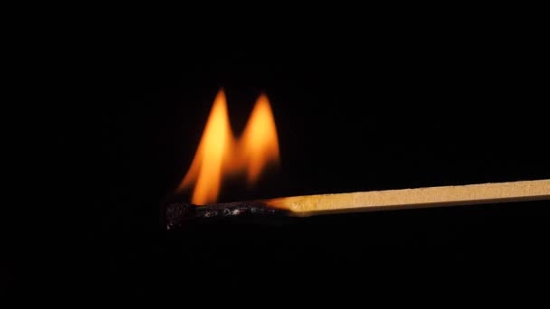 Meci Ardere Flacără Mare Chibrit Aprins Fundal Negru Concentrare Moale — Videoclip de stoc
