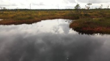 Yağmur bulutları bataklığa yansıdı. İHA bataklığın üzerinde uçuyor.