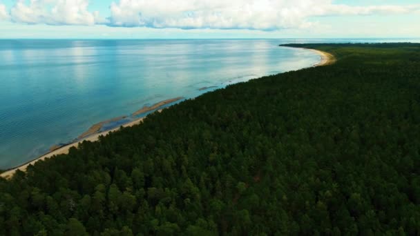 Côte Mer Avec Belles Forêts Pins Vue Haut Belle Mer — Video