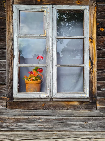 Old window with a flower on the windowsill.