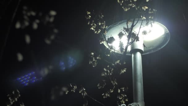 Levou Luz Uma Lanterna Livre Luzes Brilhantes Iluminação Exterior — Vídeo de Stock