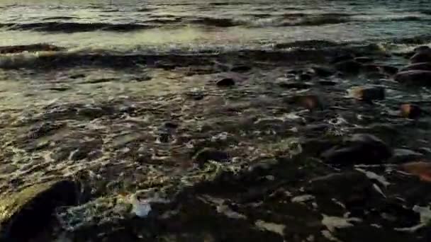 Темная Морская Вода Осенью Скалистое Побережье Тихого Океана Волны Морской — стоковое видео