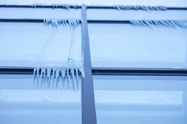 Stock image Icicles near the window in winter. Glazed facade of the building with icicles. Ice on windows in cold weather. Soft focus on ice icicle