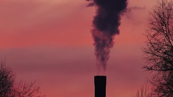 烟囱锅炉房冒出的烟或蒸汽 在夕阳的天空背景下冒出的烟 乌云密布 黑烟污染环境 — 图库视频影像