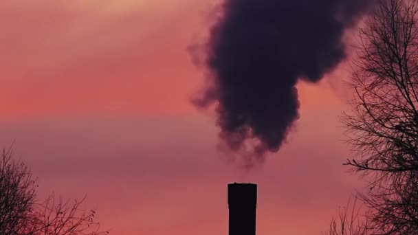 Smoke Steam Coming Out Chimney Boiler House Smoking Chimney Sunset — Stock Video