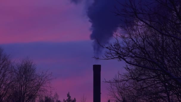 烟囱锅炉房冒出的烟或蒸汽 在夕阳的天空背景下冒出的烟 乌云密布 黑烟污染环境 — 图库视频影像