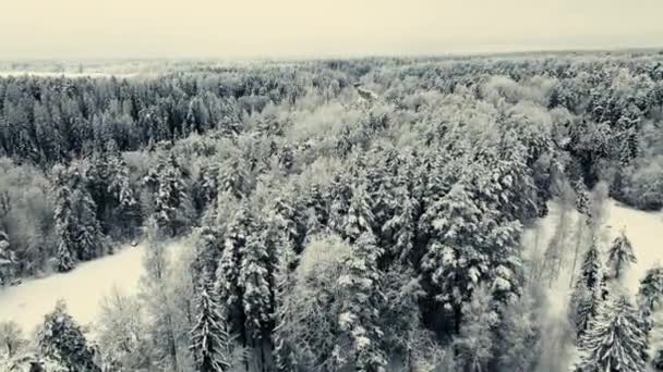 Winterliche Ansichten Aus Einer Drohne Schöne Schneebedeckte Bäume Menschen Fahren — Stockvideo