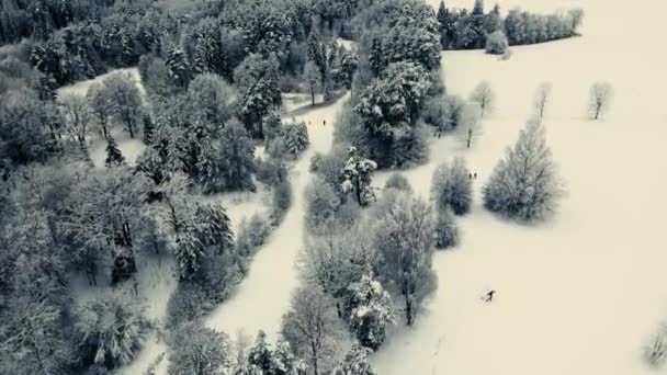 Vistas Invierno Desde Dron Hermosos Árboles Cubiertos Nieve Gente Está — Vídeos de Stock