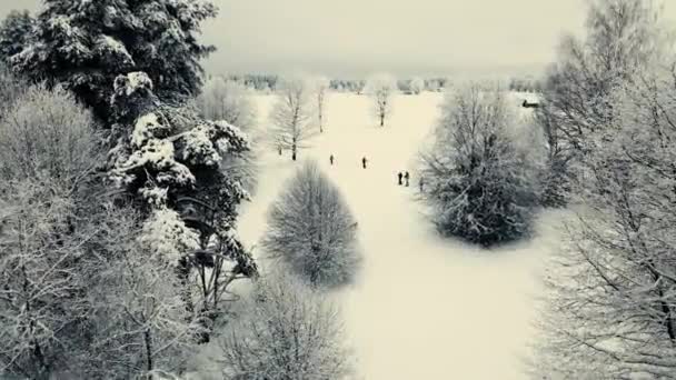 Nsansız Hava Aracından Kış Görüntüsü Güzel Kar Kaplı Ağaçlar Nsanlar — Stok video