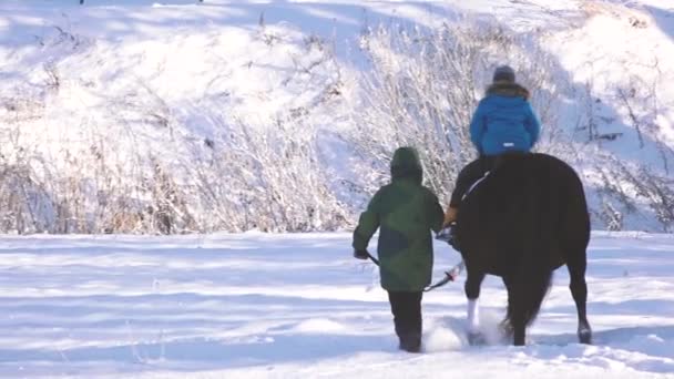 Häst Bär Folk Ryggen Vintern Hästen Gick Genom Snön — Stockvideo