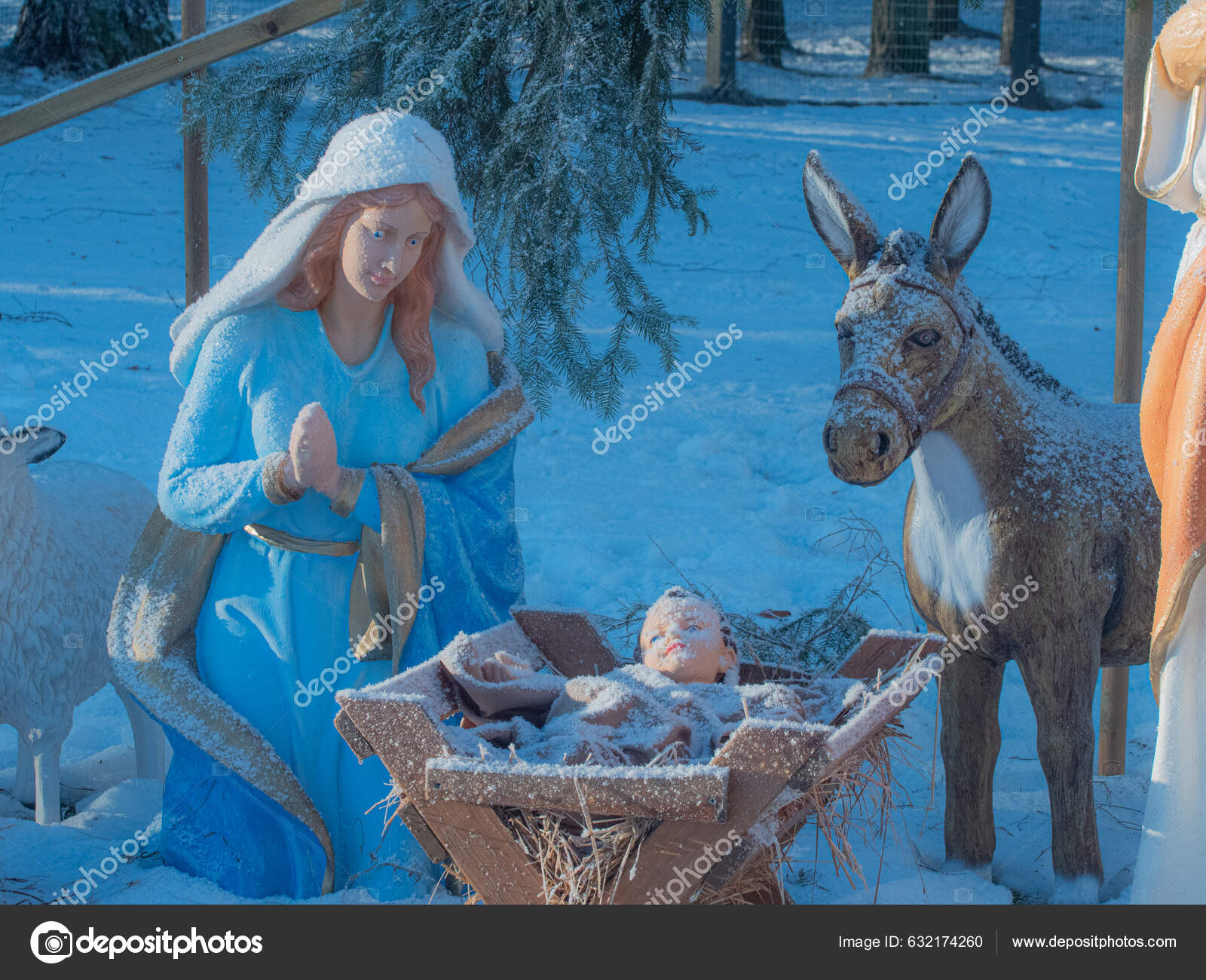 Nativity Scene Christmas Tree Nativity Scene Adoration Magi Nativity Scene Stock Photo by