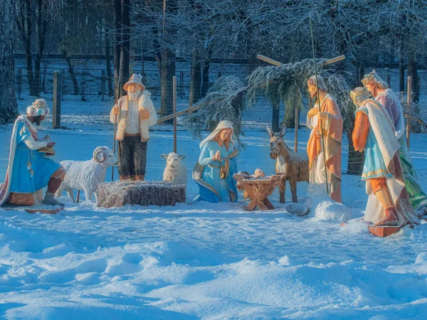 Nativity scene by the Christmas tree. Nativity scene, Adoration of the Magi. Nativity scene with figurines including Jesus, Mary, Joseph, sheep and Magi.