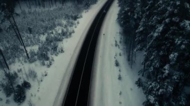 Ormanda asfalt yol yoğun sisli. Orman yolunda sıcak ve soğuk kış havasının değişmesi. Her şey bulanık. Yumuşak seçici odak