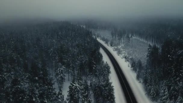 Зимняя Асфальтовая Дорога Лесу Густым Туманом Изменение Теплого Холодного Зимнего — стоковое видео