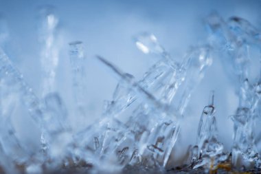 Ağaç dallarındaki buz kristalleri. Bir dala buz iğneleri. Dalı kaplayan buz kristalleri. Kristalize bir ağaç dalı. Güzel kış şablonları kar tanelerinin buz kristalleri kepekli çam iğneleri üzerinde