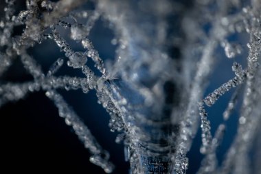 Örümcek ağında buz kristalleri. Ağda buz iğneleri var. Örümcek ağını kaplayan buz kristalleri. Kristalize örümcek ipliği. Donmuş ağ üzerinde kar tanesi buz kristalleri ile güzel bir kış deseni.