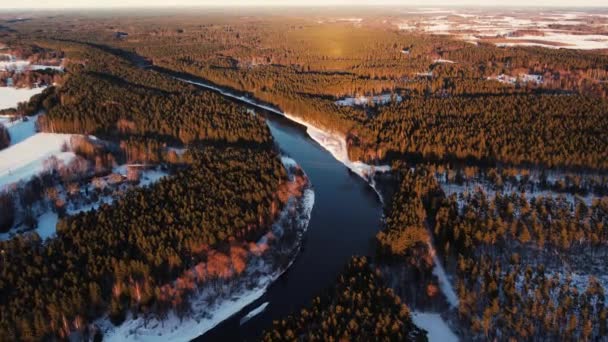 Kręta Rzeka Pobliżu Małego Miasteczka Leśnym Masywem Widok Lotu Ptaka — Wideo stockowe