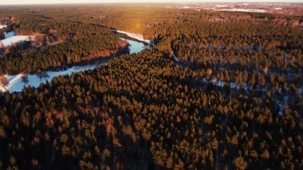 Ένα Ποτάμι Κοντά Μια Μικρή Πόλη Δασικό Όγκο Αεροφωτογραφία Ενός — Αρχείο Βίντεο