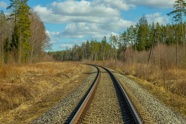 Ferrovie Treno Binari Ferroviari Una Scena Rurale Paesaggio Industriale Con — Foto Stock