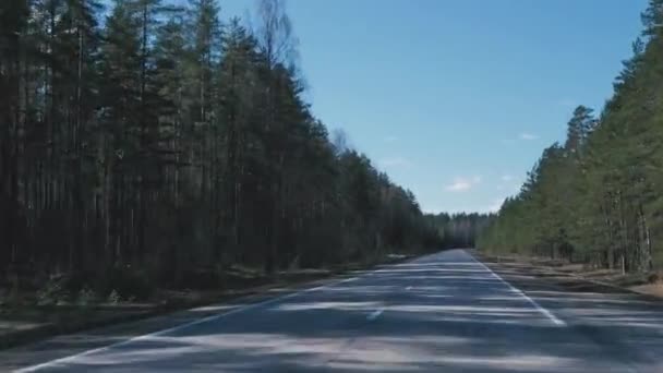 Auf Asphaltierter Straße Waldrand Entlang Fahren — Stockvideo