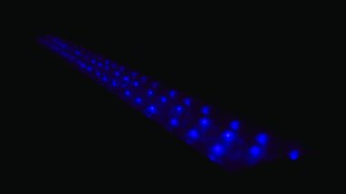 Çalışmak için renkli ışıklandırmaya öncülük etti. Konser salonundaki stüdyo ışıkları. Soyut arkaplan. Gece kulübü ışıkları. Performans için ışıklandırma ekipmanı. Sahne ışıklarından karanlık bir sahnede ışıklar