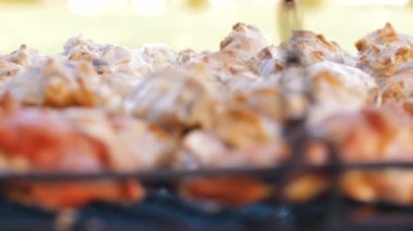 Hareket halindeki ızgarada et. Izgarada kızarmış şiş kebap..