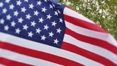 Amerikan bayrağı rüzgarda dalgalanıyor. Bayrak güzel yeşil ağaçların arka planında dalgalanıyor. Seçici yumuşak odak.