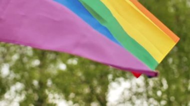 LGBTQ bayrağı rüzgarda dalgalanıyor. Eşcinsel gökkuşağı bayrağı arka planda dalgalanıyor. Bayrak güzel yeşil ağaçların arka planında dalgalanıyor. Seçici yumuşak odak