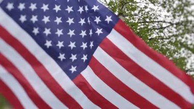 Amerikan bayrağı rüzgarda dalgalanıyor. Bayrak güzel yeşil ağaçların arka planında dalgalanıyor. Seçici yumuşak odak.