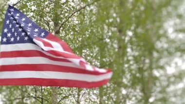 Amerikan bayrağı rüzgarda dalgalanıyor. Bayrak güzel yeşil ağaçların arka planında dalgalanıyor. Seçici yumuşak odak.