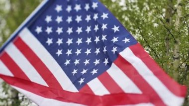 Amerikan bayrağı rüzgarda dalgalanıyor. Bayrak güzel yeşil ağaçların arka planında dalgalanıyor. Seçici yumuşak odak.