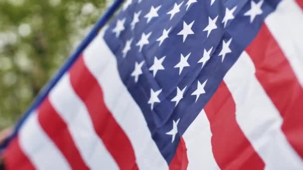 Amerikanska Flaggan Fladdrar Vinden Flaggan Flyger Bakgrunden Vackra Gröna Träd — Stockvideo