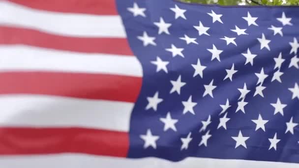 Amerikanska Flaggan Fladdrar Vinden Flaggan Flyger Bakgrunden Vackra Gröna Träd — Stockvideo