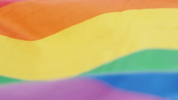 Lgbtqの旗が風になびく ゲイの誇り虹のフラグをバックライトを閉じる飛んでいます 美しい緑の木々の中を旗が飛ぶ 選択的ソフトフォーカス — ストック動画